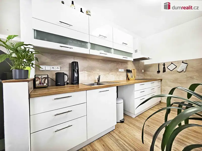 Pronájem bytu 2+1 54 m², Lovosice – náhled fotky 1
