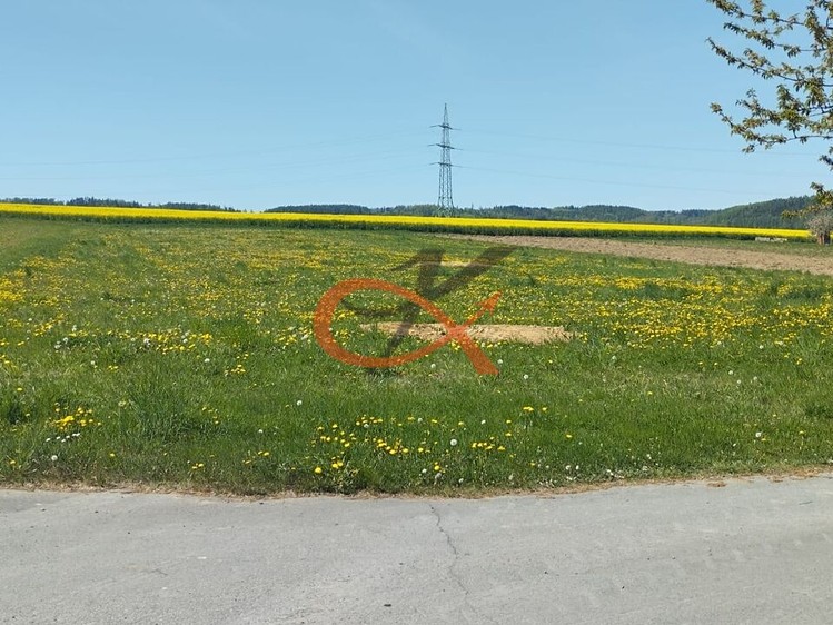 Prodej pozemku, 2 600 m² (1 z 7)