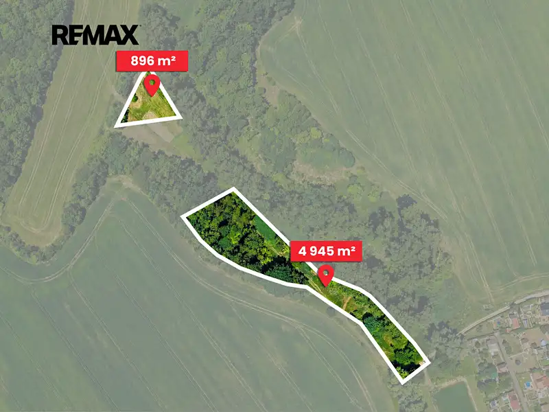 Prodej lesa 5841 m², Skršín – náhled fotky 2