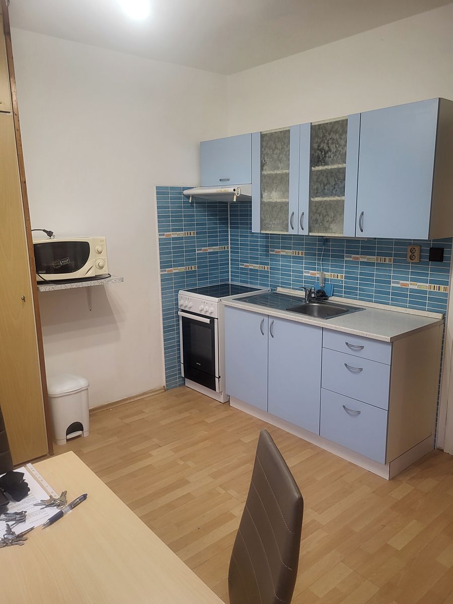 Pronájem bytu 1+1 42 m²