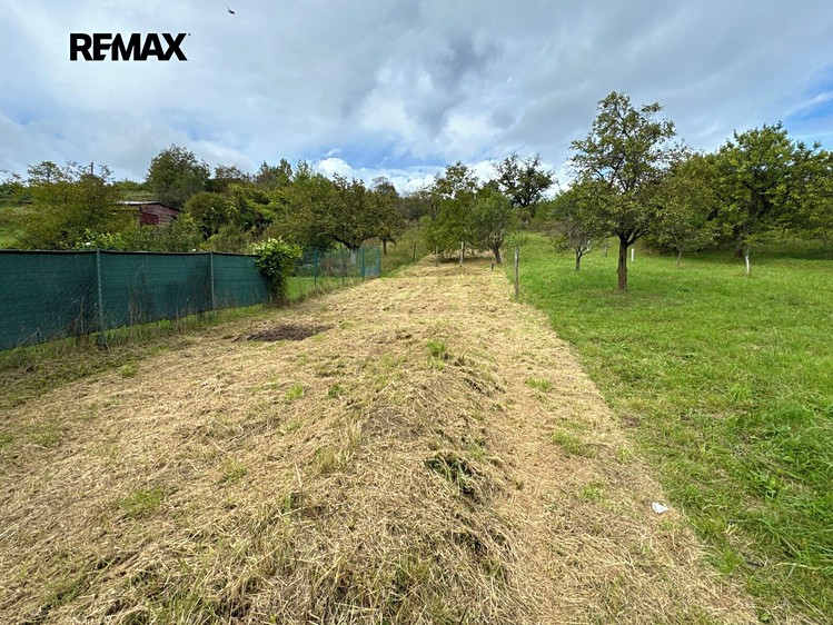 Prodej domu, 1 140 m² (4 z 39)