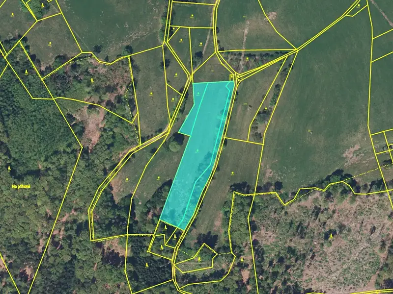 Prodej pole 26754 m², Náchod – náhled fotky 2