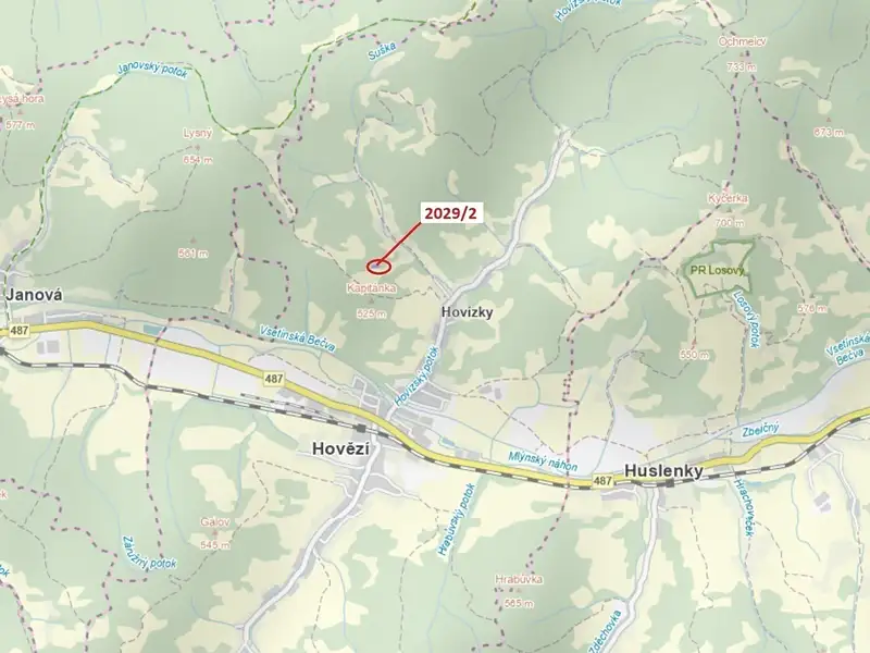 Dražba lesa 788 m², Hovězí – náhled fotky 1