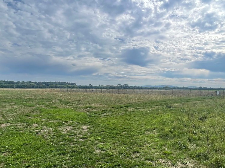 Grundstück zum Kauf, 3.367 m² (6 von 21)
