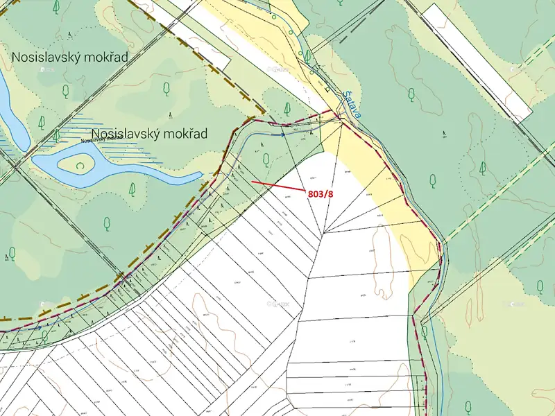 Dražba lesa 574 m², Přísnotice – náhled fotky 3