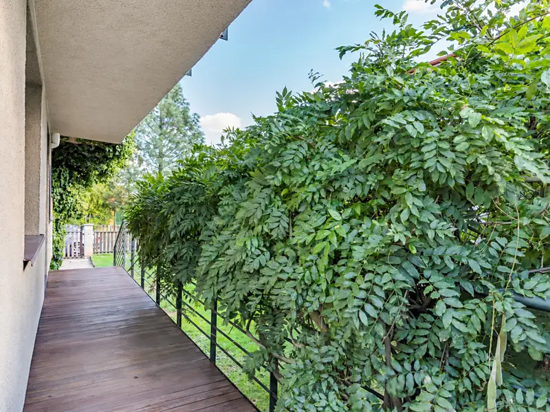 Prodej rodinného domu 288 m², pozemek 800 m², Kozojedy – náhled fotky 3