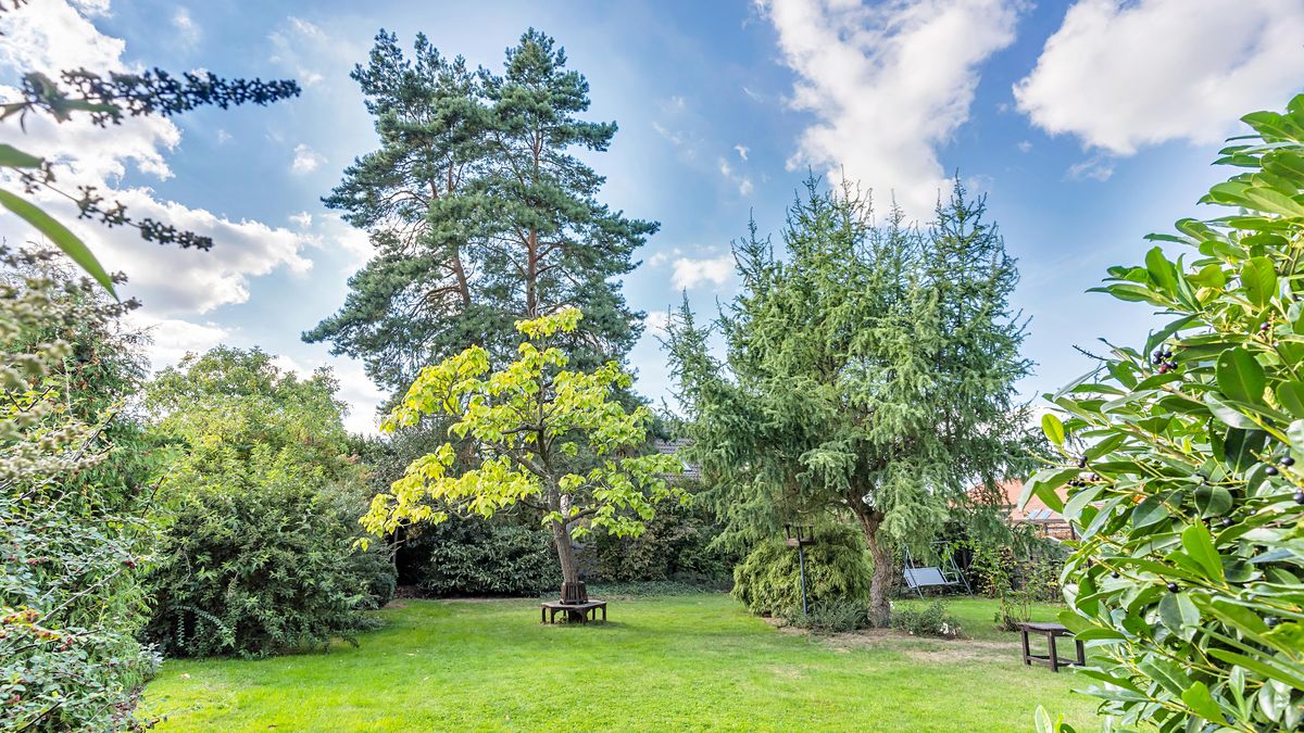 Prodej rodinného domu 288 m², pozemek 800 m² – fotografie 4