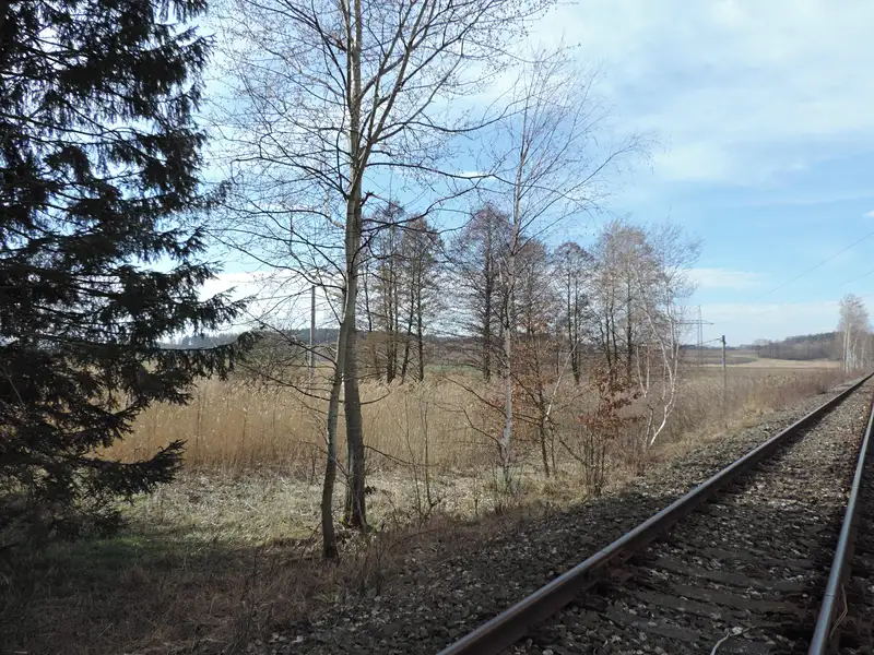 Prodej pozemku 3690 m², Brniště – náhled fotky 1