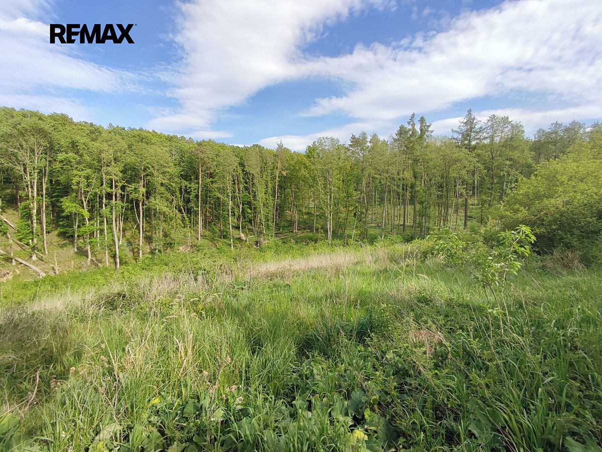 Prodej lesa 17681 m²