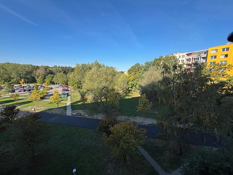 Prodej bytu 3+1, 72 m² (12 z 20)
