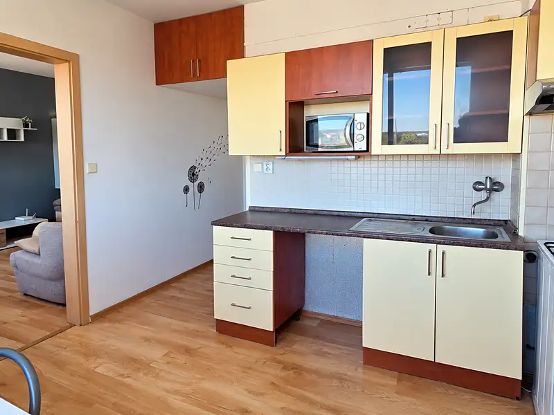 Pronájem bytu 3+1 70 m², Břeclav – náhled fotky 2