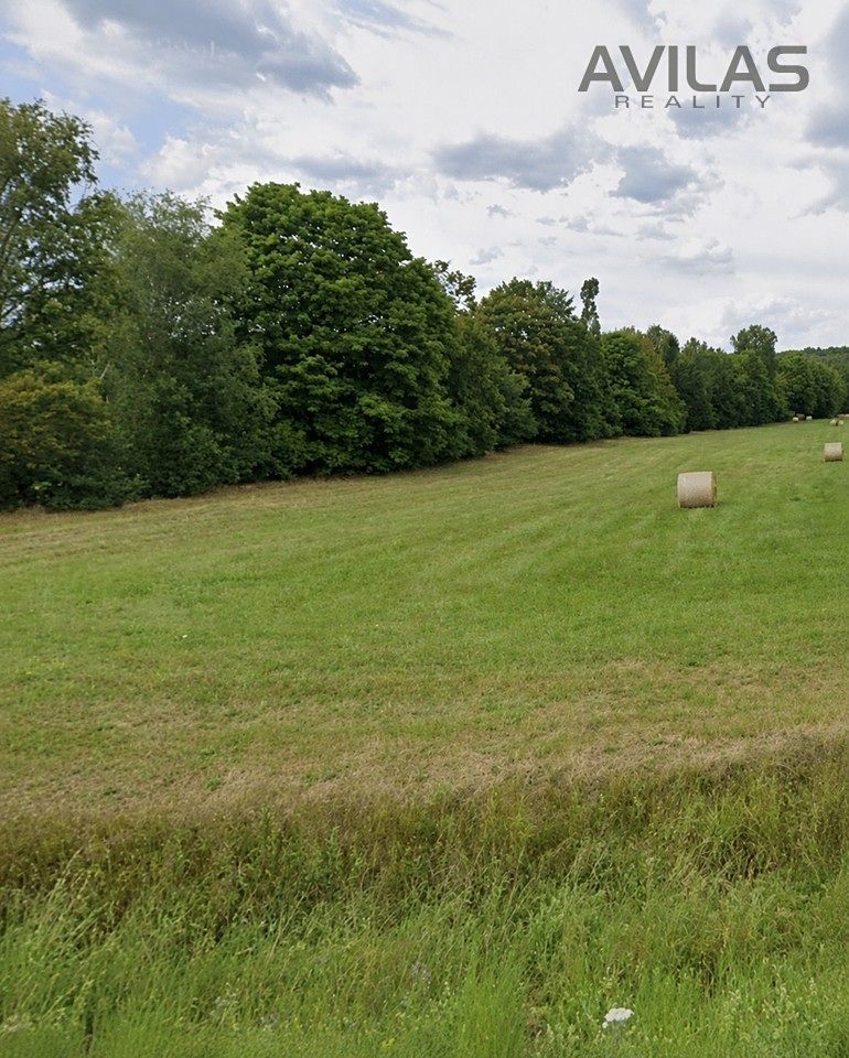Pronájem louky 7945 m²