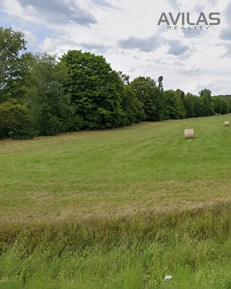 Pronájem louky 7945 m²