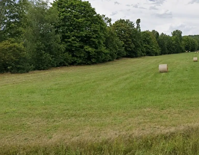 Pronájem louky 7945 m², Nespeky – náhled fotky 1