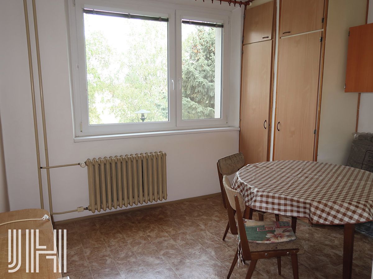 Pronájem bytu 1+1 40 m² – fotografie 5