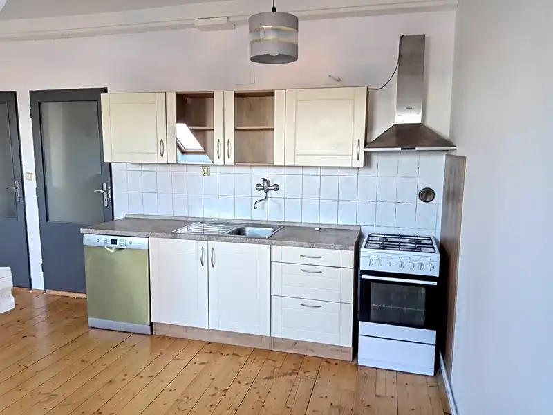 Pronájem bytu 2+kk 58 m², Plzeň – náhled fotky 1