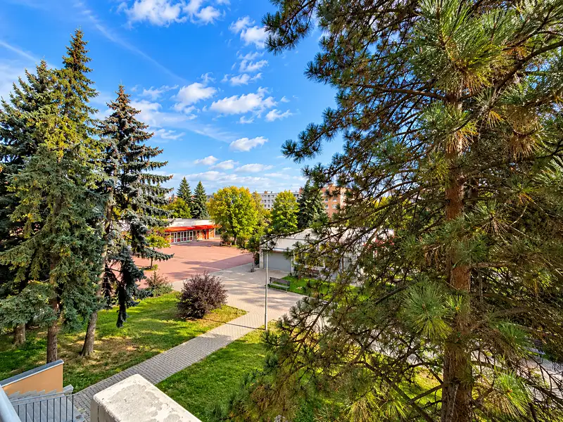 Prodej bytu 3+1 68 m², Praha – náhled fotky 3