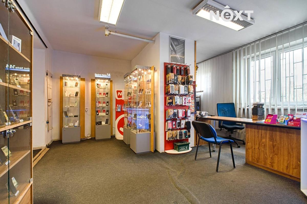 Prodej obchodního prostoru 206 m² – fotografie 4