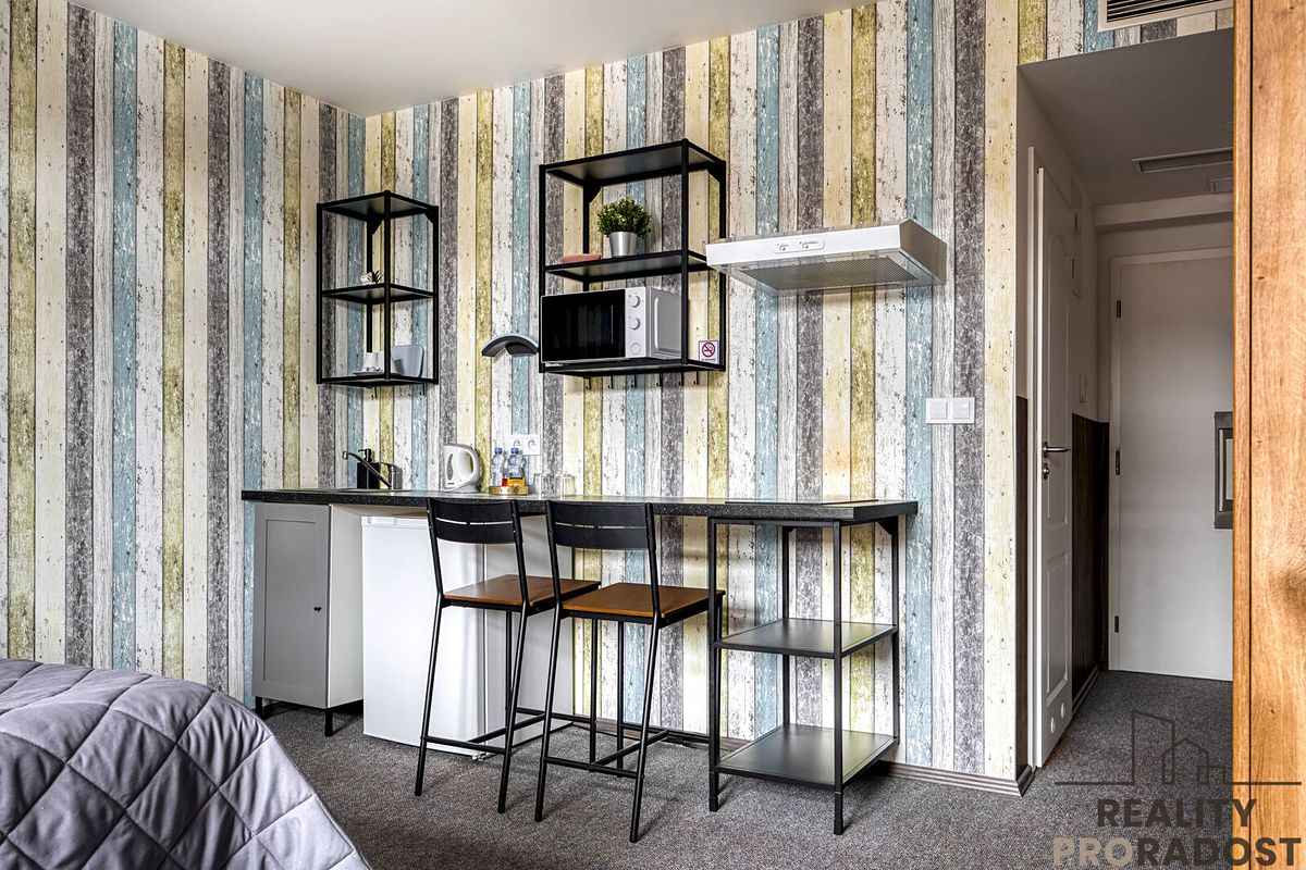Pronájem bytu 1+kk 24 m² – fotografie 4