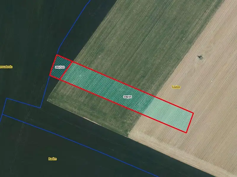 Prodej pole 10021 m², Lozice – náhled fotky 1