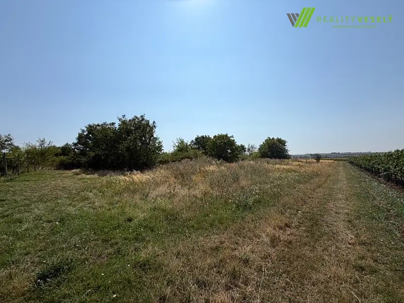 Prodej sadu, vinice 2593 m², Moravský Žižkov – náhled fotky 3
