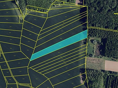 Prodej podílu 1/3  pole 4 511 m²