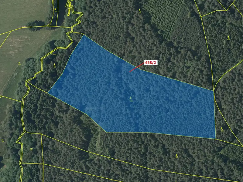 Dražba lesa 26622 m², Slavče – náhled fotky 2