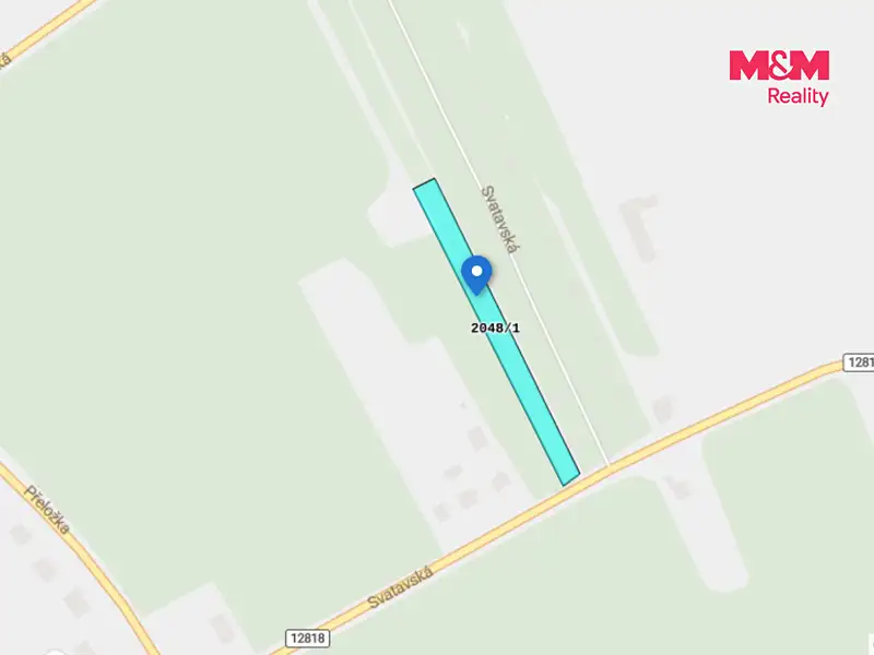 Prodej stavebního pozemku 2821 m², Černovice – náhled fotky 2