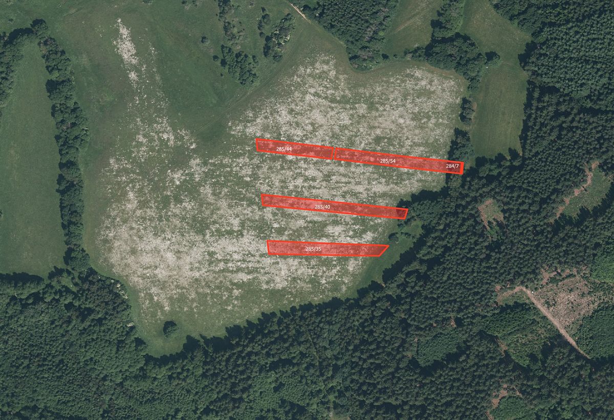 Prodej pole 11167 m², Plánice – fotka 1 z 3