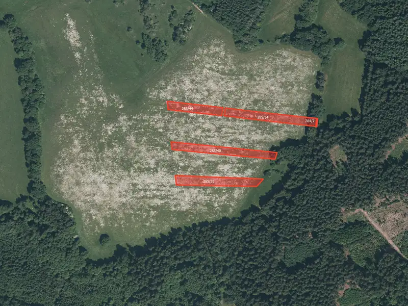 Prodej pole 11167 m², Plánice – náhled fotky 1