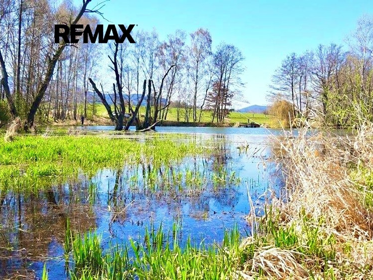 Ділянка на продаж, 8 558 м² (2 з 18)