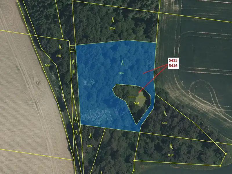 Dražba lesa 4645 m², Peč – náhled fotky 2