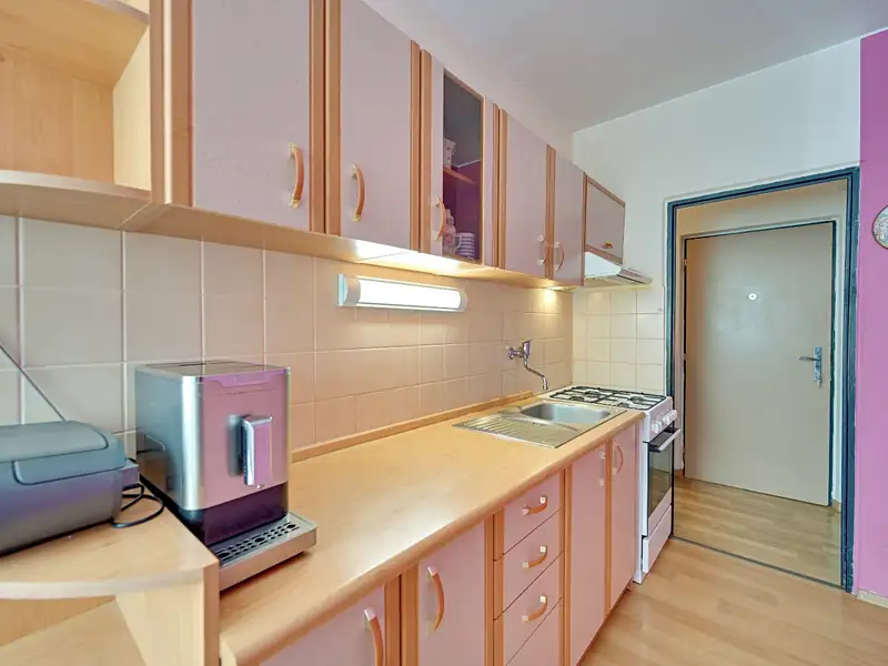 Pronájem bytu 1+1 40 m², Hodonín – náhled fotky 2