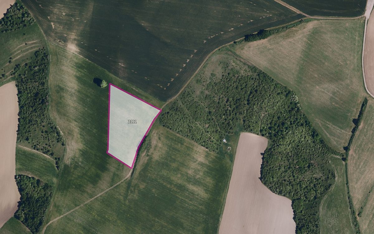 Prodej pole 13380 m²