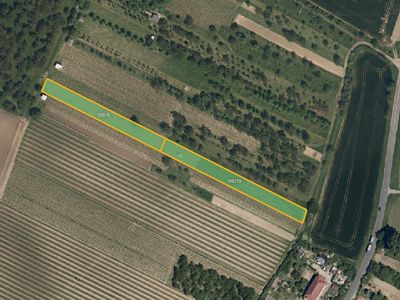 Prodej sadu, vinice 5062 m²