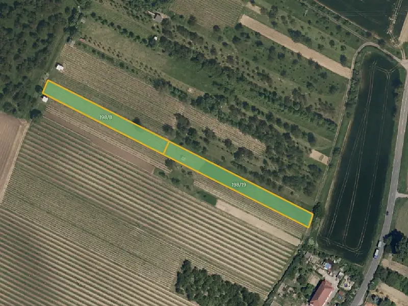 Prodej sadu, vinice 5062 m², Svatobořice-Mistřín – náhled fotky 1