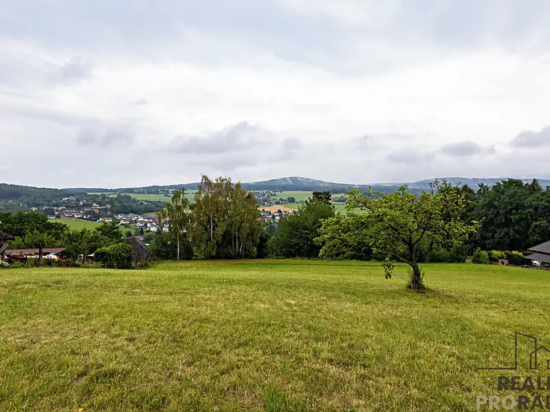 Prodej zemědělské usedlosti 190 m², pozemek 5882 m², Zaječov – náhled fotky 3