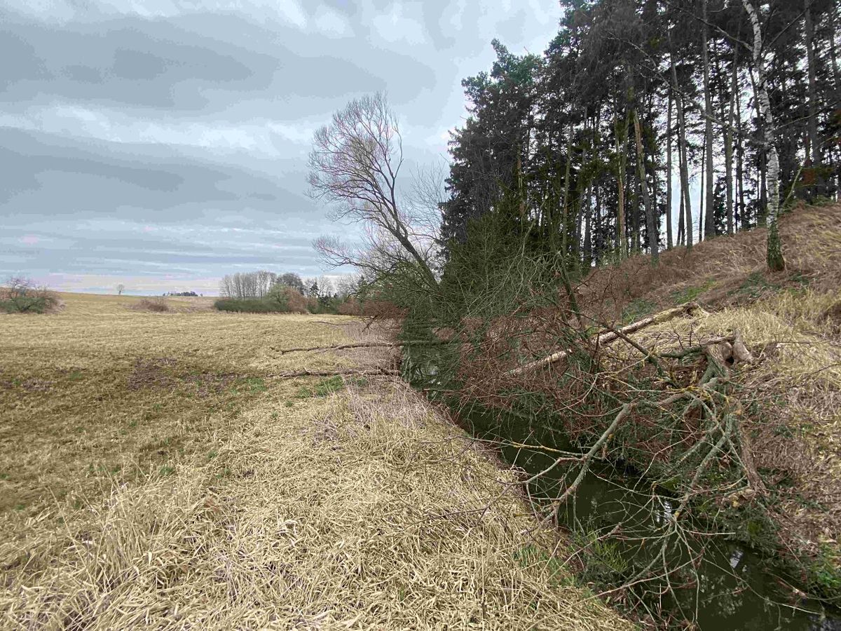 Dražba louky 670 m², Peč – fotka 1 z 3