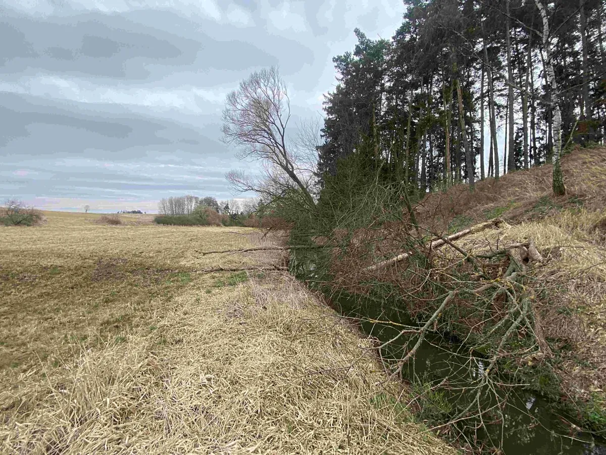 Dražba louky 670 m²