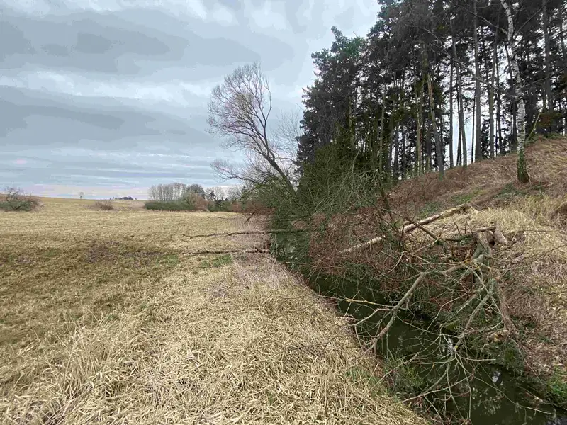 Dražba louky 670 m², Peč – náhled fotky 1