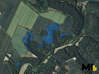 Prodej lesa 103260 m²