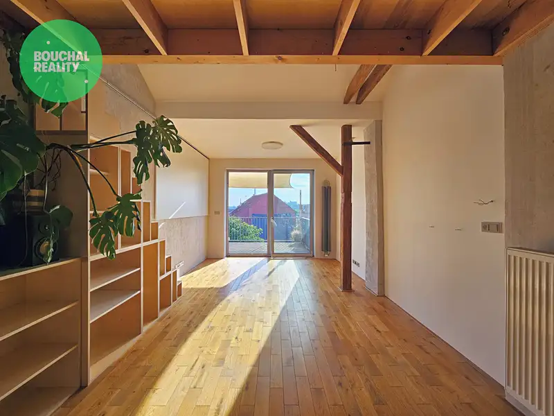 Pronájem bytu 4+kk 100 m², Plzeň – náhled fotky 3
