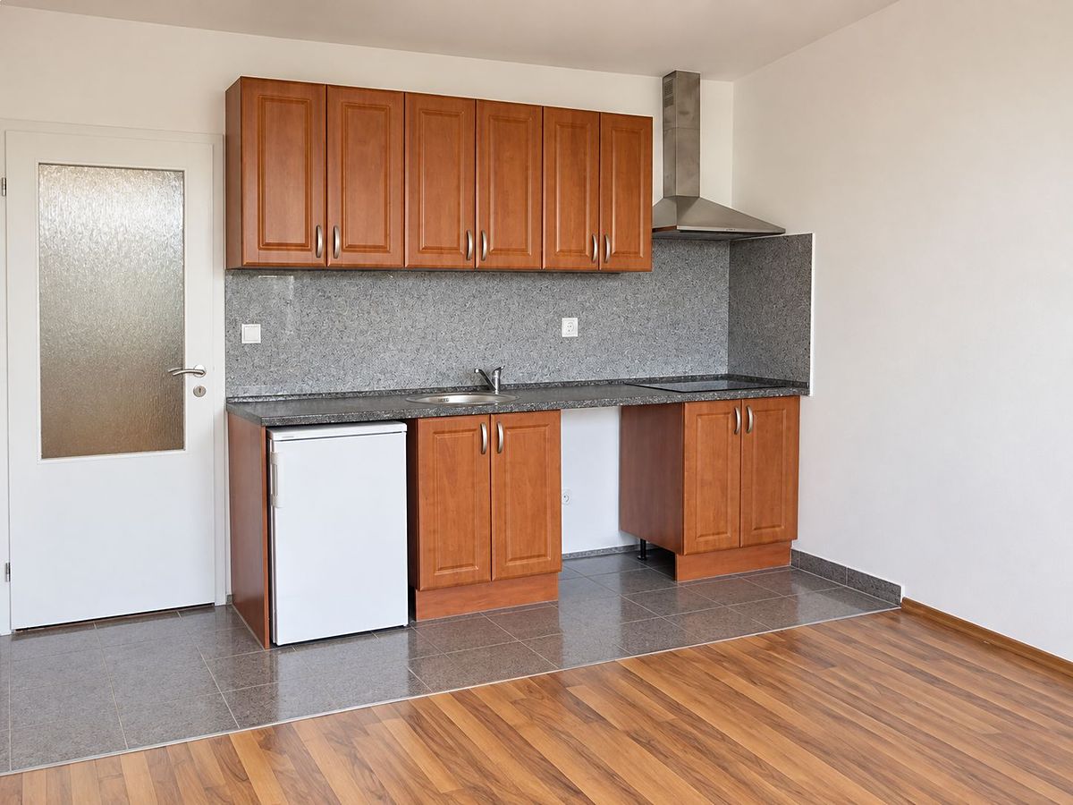 Pronájem bytu 1+kk 25 m²