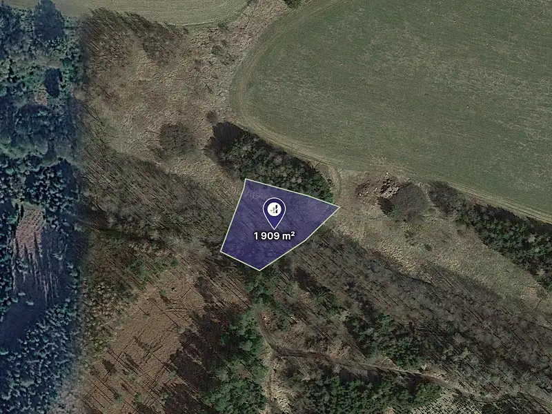 Prodej lesa 22679 m², Kladruby – náhled fotky 2