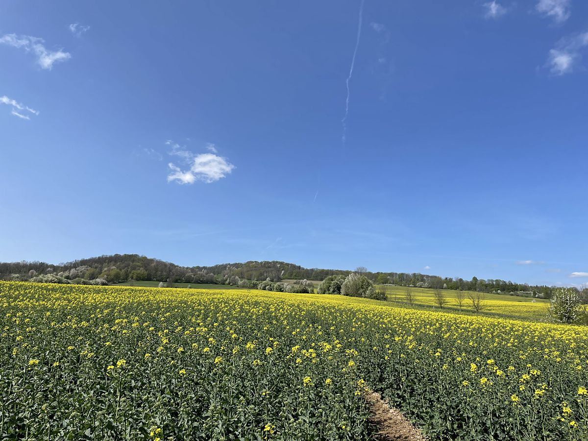 Prodej pole 34138 m²