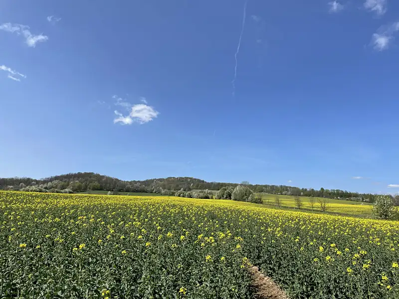 Prodej pole 34138 m², Žandov – náhled fotky 1