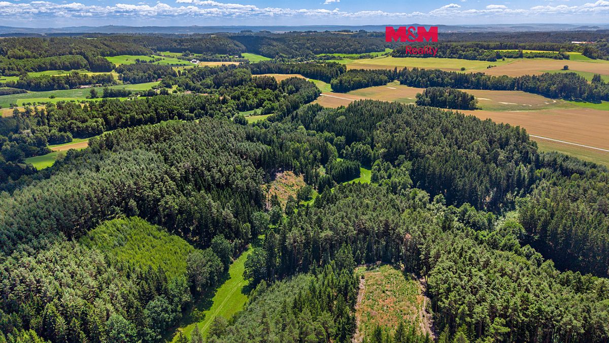 Prodej lesa 11944 m²