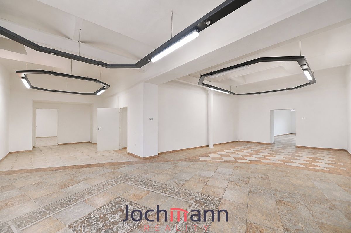 Pronájem obchodního prostoru 501 m² – fotografie 2