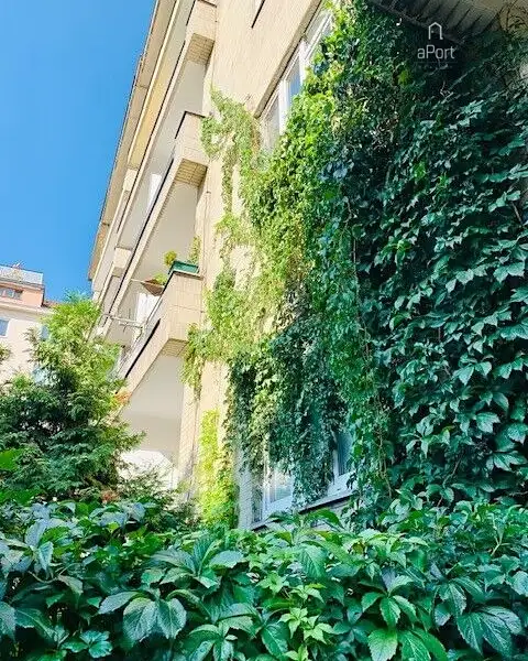 Pronájem bytu 2+1 51 m², Brno – náhled fotky 1