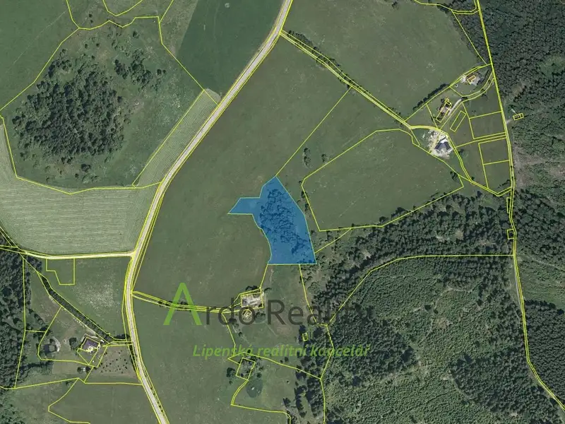Prodej pozemku 13285 m², Přední Výtoň – náhled fotky 3